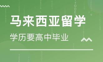 佛山芝諾日本留學中介 自費出國留學的可靠選擇