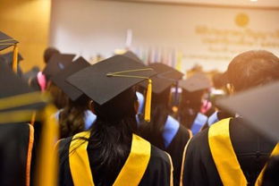 2019年留學(xué)中介排名與自費(fèi)出國咨詢感受 揭秘榜單背后的秘密