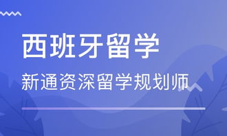 武漢西班牙留學(xué)中介 自費(fèi)出國留學(xué)中介服務(wù)全指南